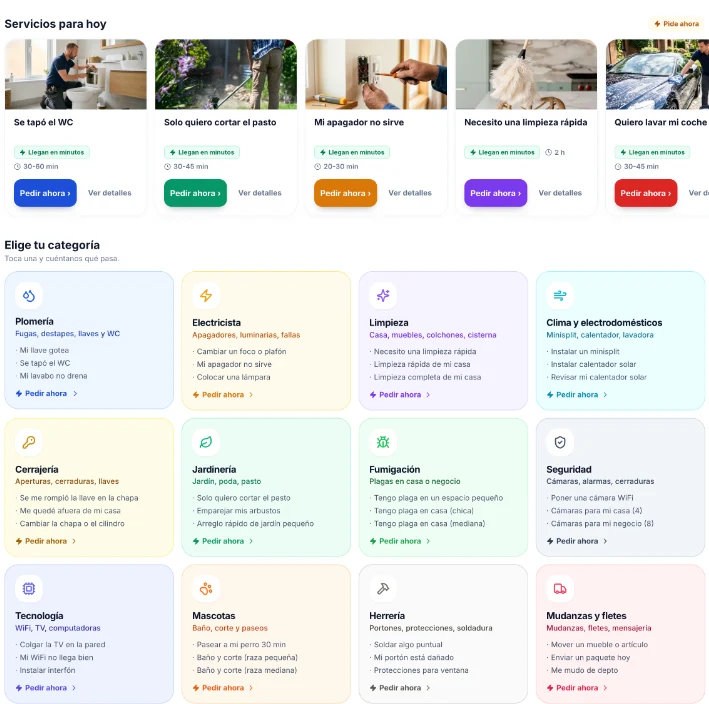 Pro Muévete: categorías de servicio